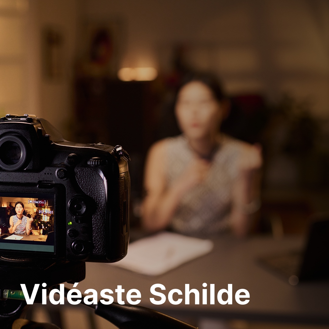 vidéaste Schilde